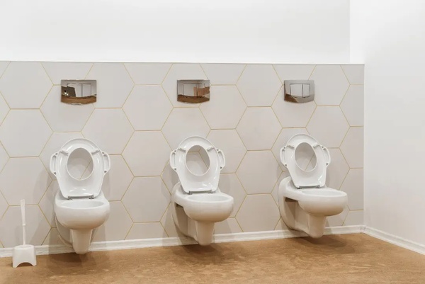 Crucial Role of Public Toilets in Public Health